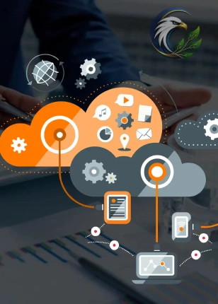 Oracle ERP Solutions