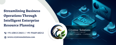 ICRYSTAL ERP Solution